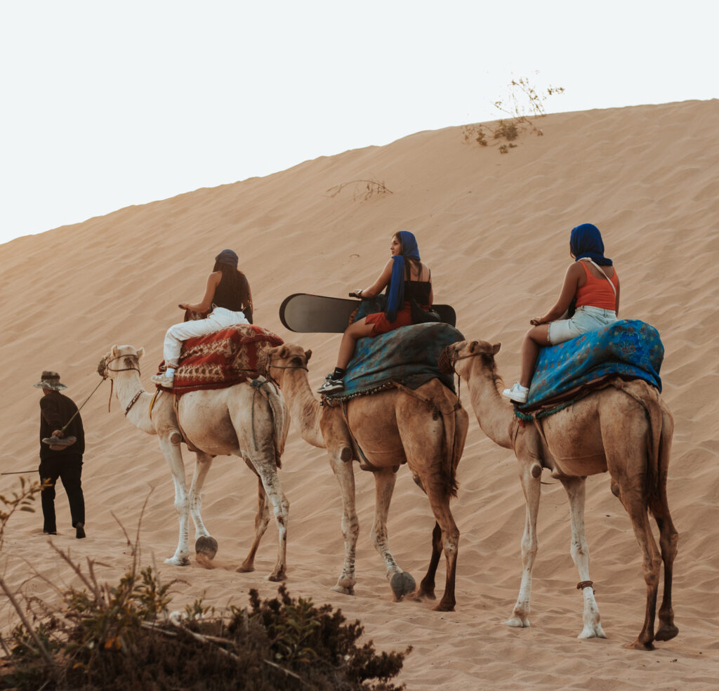 Camel ride in Agadir desert Timlalin dunes at sunset Morocco