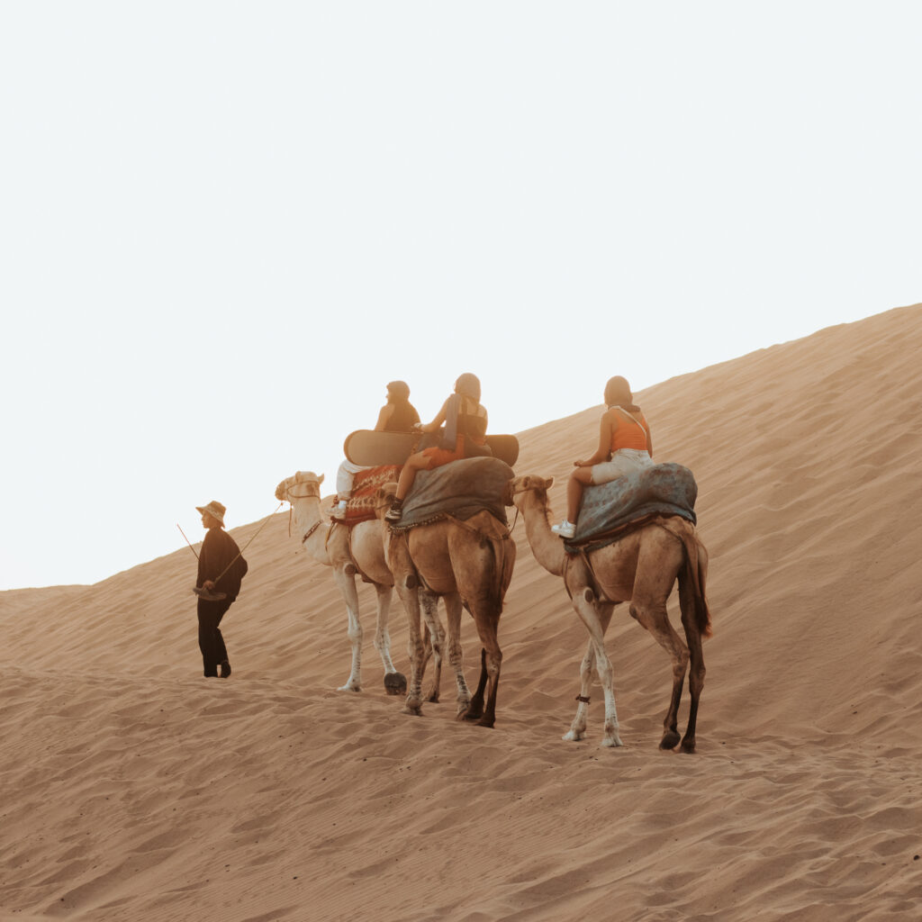 Camel ride in Agadir desert Timlalin dunes at sunset Morocco