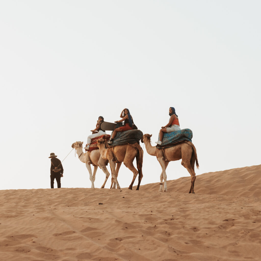 Camel ride in Agadir desert Timlalin dunes at sunset Morocco