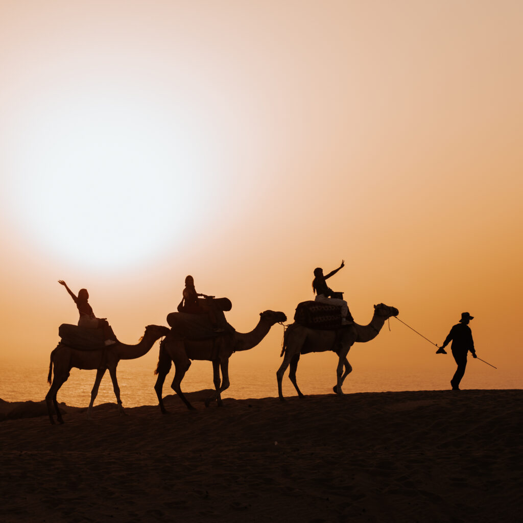 Camel ride in Agadir desert Timlalin dunes at sunset Morocco