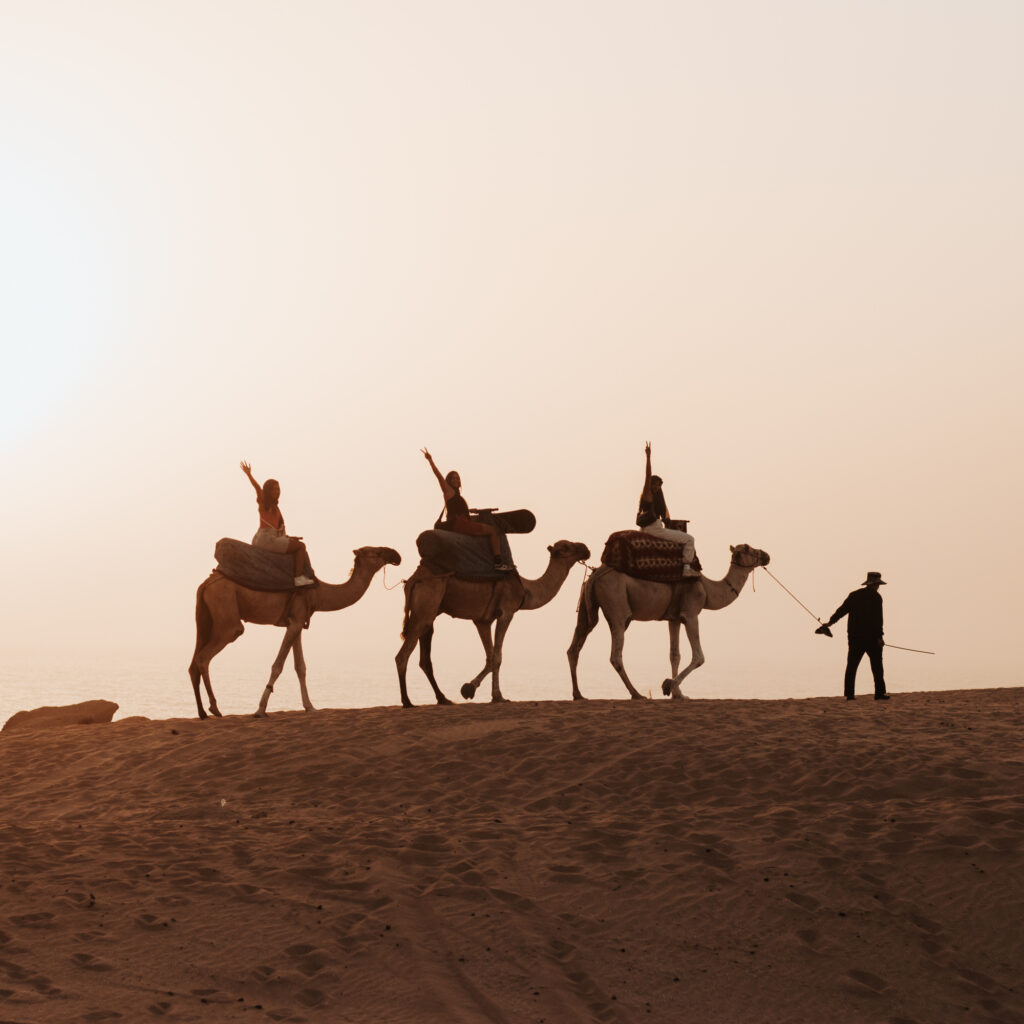 Camel ride in Agadir desert Timlalin dunes at sunset Morocco