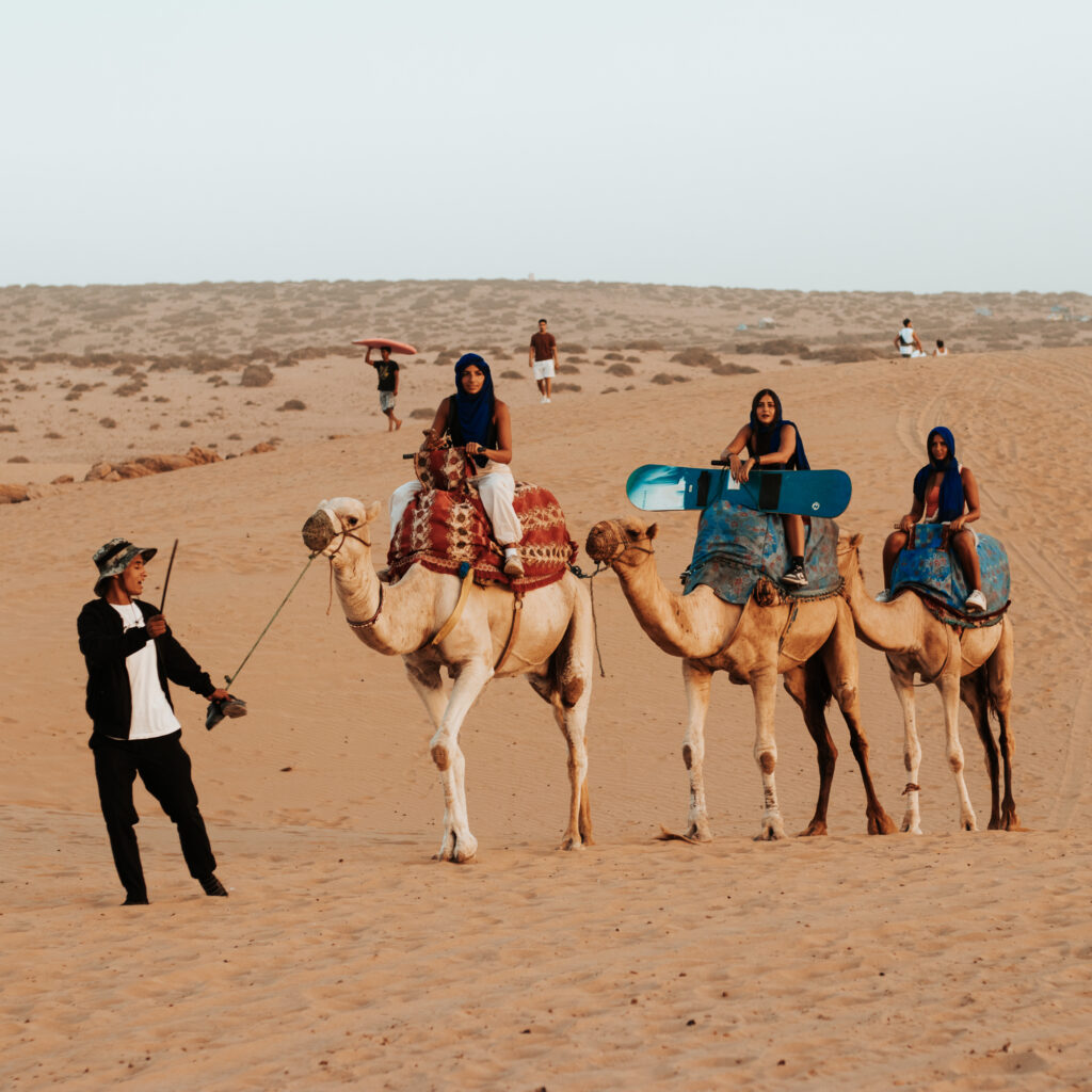 Camel ride in Agadir desert Timlalin dunes at sunset Morocco